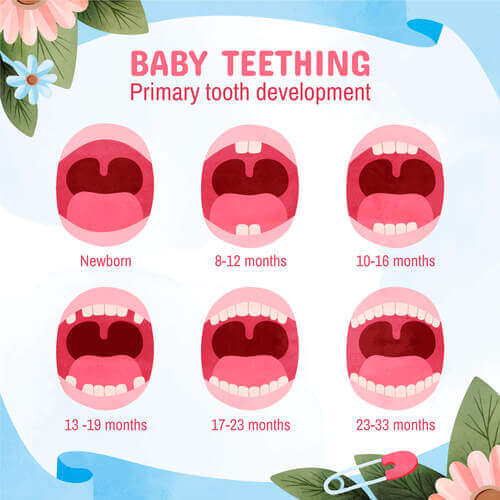 When do babies start teething?